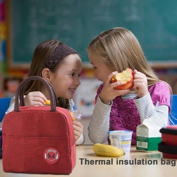 hot sale 8 litre cool bag, small, lunch bag, lunch bag, thermal bag, insulated bag, picnic bag, small cool bag for on the go to keep lunch warm, multicolor