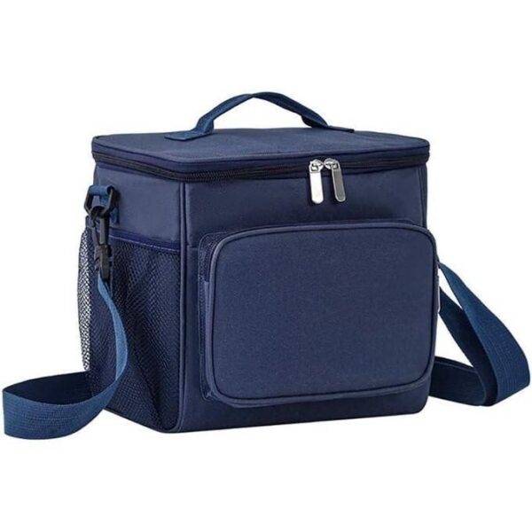hot sale 10l thermal insulated cooler bags women men picnic lunch bento handbag portable trips food container bbq meal ice pack, pack of 1, multicolor