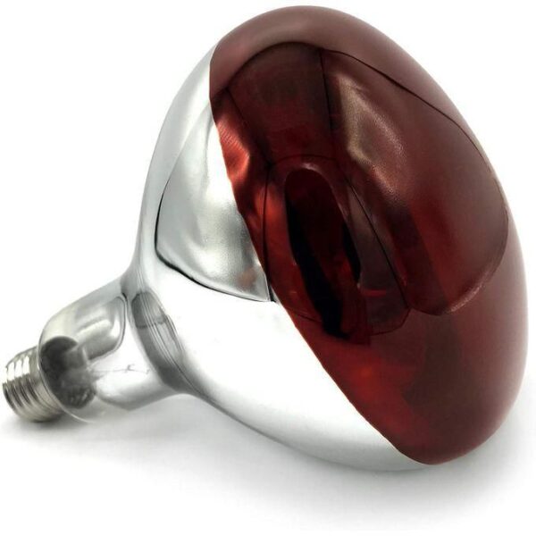 hot sale red infrared chicken bulb, heat lamp for chickens coop brooder and reptile heat bulb 220 volts infrared red light