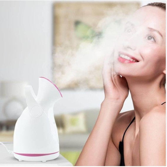 cl 5158 hot selling nano ionic face spa facial steamer warm mist humidifier atomizer humidifier moisturizing face steamer, spa at home, multicolor