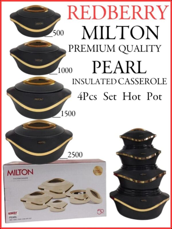 milton premium range designer hotpot set, 4 pcs insulated hotpots – 2500ml, 1500ml, 1000ml & 500ml, multicolour